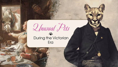 Unusual Pets, A Sign Of Class During The Victorian Era