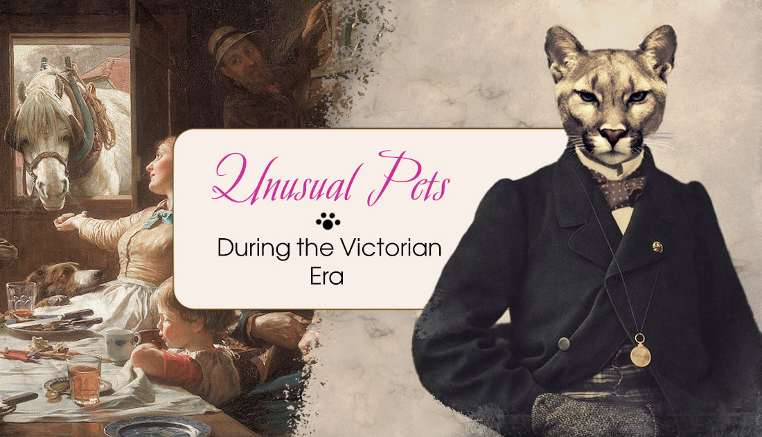 Unusual Pets That Were A Sign Of Class During The Victorian Era ...